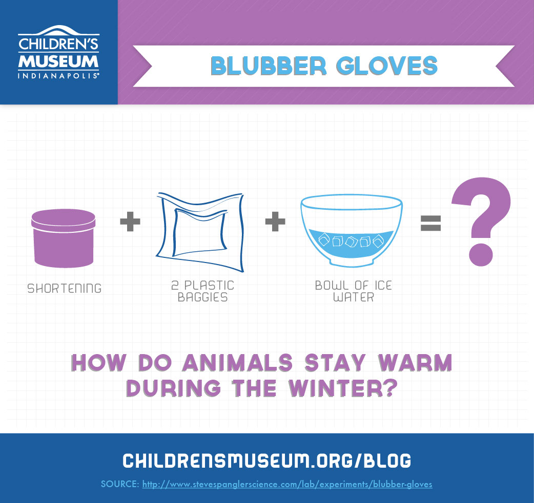 Saturday Science: Blubber Gloves